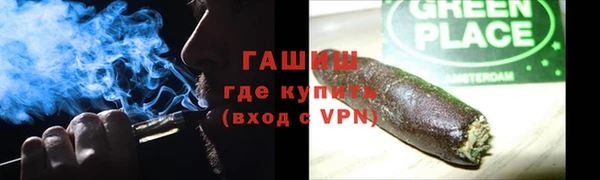 прущие грибы Абаза
