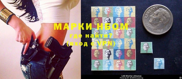 прущие грибы Абаза
