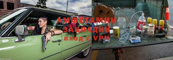 прущие грибы Абаза