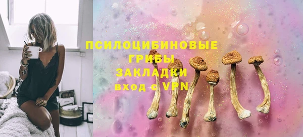 спиды Алексин