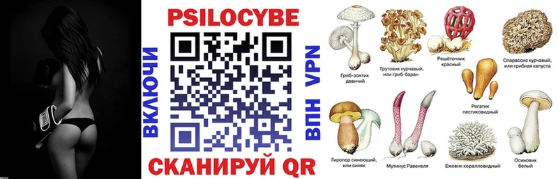 Псилоцибиновые грибы Psilocybe  Балаково 